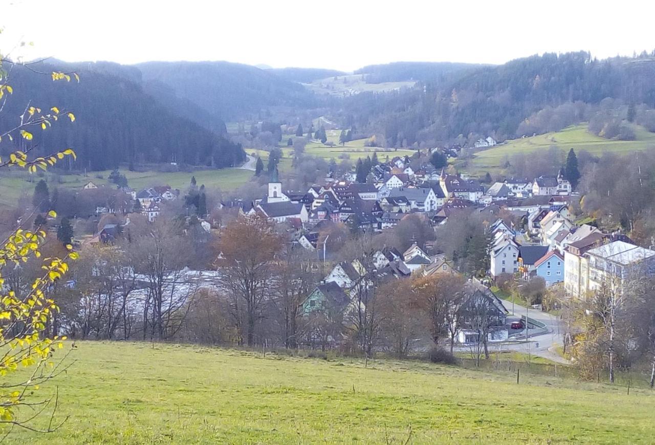 Ferienwohnung Waldrast Lenzkirch Buitenkant foto