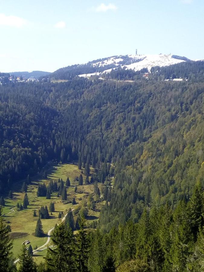 Ferienwohnung Waldrast Lenzkirch Buitenkant foto