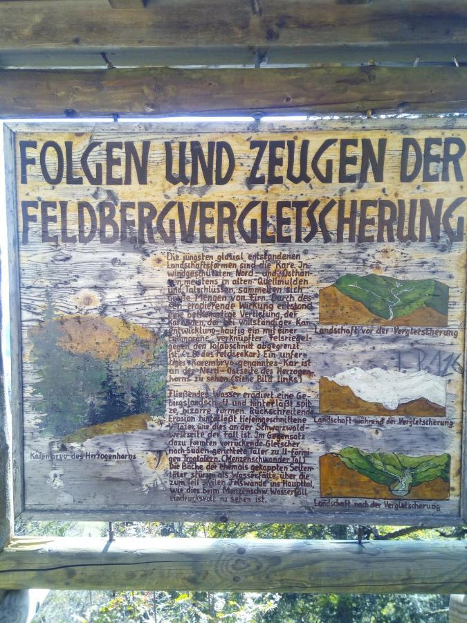 Ferienwohnung Waldrast Lenzkirch Buitenkant foto
